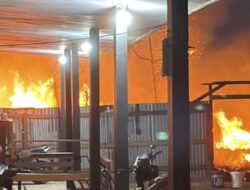 Karhutla Merauke Meluas ke 10 Distrik, 63 Hektare Lahan Terbakar, Sejumlah Titik Sulit Dijangkau