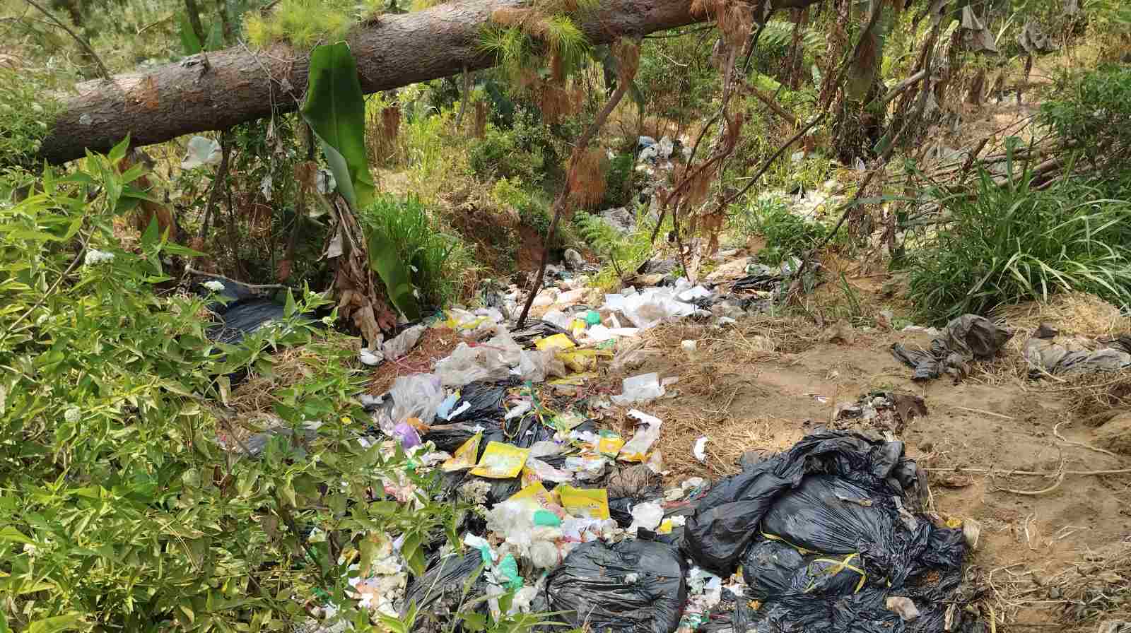 Sampah plastik dan bungkus kemasan dapur berserakan di kawasan hutan Desa Sridadi, Sirampog, Brebes.