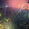 Kebakaran Lahan di Wanasari Brebes, Diduga Berawal dari Pembakaran Sampah