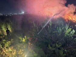 Kebakaran Lahan di Wanasari Brebes, Diduga Berawal dari Pembakaran Sampah