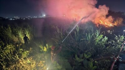Petugas Damkar Brebes melakukan pemadaman api yang membakar lahan di Desa Pesantunan, Kecamatan Wanasari, Kabupaten Brebes.