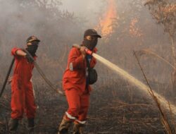 Singapura Sorot 7 Perusahaan Indonesia soal Karhutla, Ancaman Kabut Asap Lintas Negara Menguat