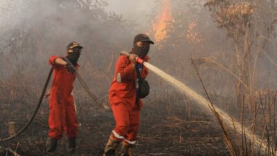 Kebakaran hutan dan lahan di Indonesia yang memicu kabut asap lintas negara.