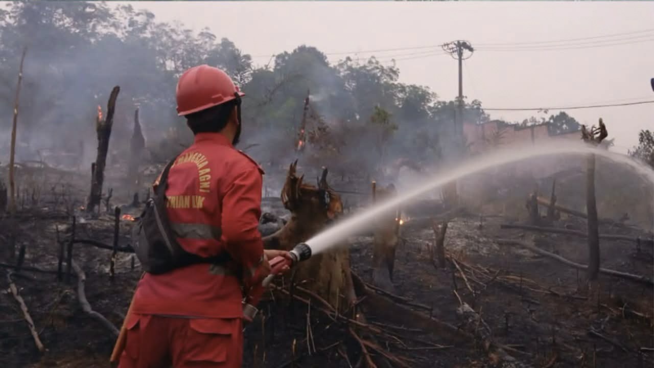 Petugas relawan menggunakan alat pemadam manual memadamkan kebakaran hutan dan lahan karhutla dikelilingi asap pekat.