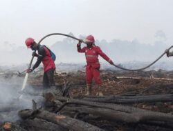 Biodiesel B50-B100 Incar 12,7 Juta Hektare Hutan Rusak, CELIOS Hitung Potensi Kerugian Rp3.777 Triliun