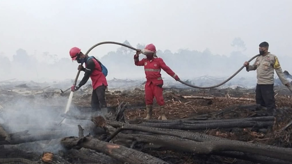Bahan baku biofuel B50 hingga B100 akan bersumber dari hutan rusak, bukan hutan primer.