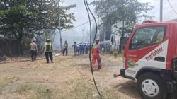 Kebakaran Kandang Ayam di Kersana Brebes, 40.000 Ekor Mati Terbakar