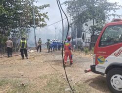 Kebakaran Kandang Ayam di Kersana Brebes, 40.000 Ekor Mati Terbakar