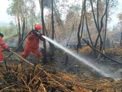 Nyawa Melayang Saat Padamkan Karhutla, 10 Relawan Gugur di Tiga Wilayah
