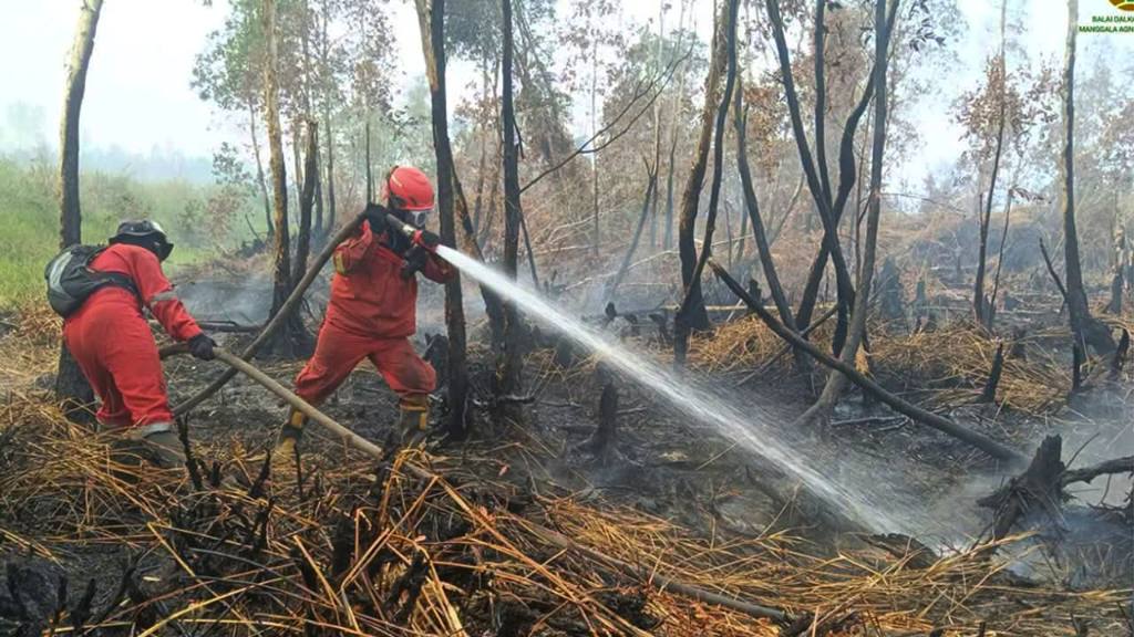 Petugas gabungan memadamkan kebakaran hutan dan lahan.