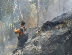 Api Gunung Sumbing Padam, 974 Hektare Lahan Hangus dan Pemantauan Berlanjut