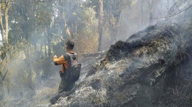 Kondisi lereng Gunung Sumbing yang terdampak kebakaran hutan dan lahan