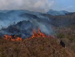 Kebakaran Gunung Ciremai Hanguskan 30 Hektare, Pemadaman Udara Dikerahkan
